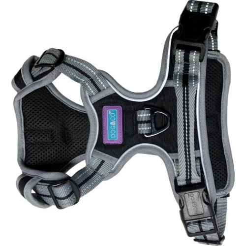 Dog & hot sale co harness